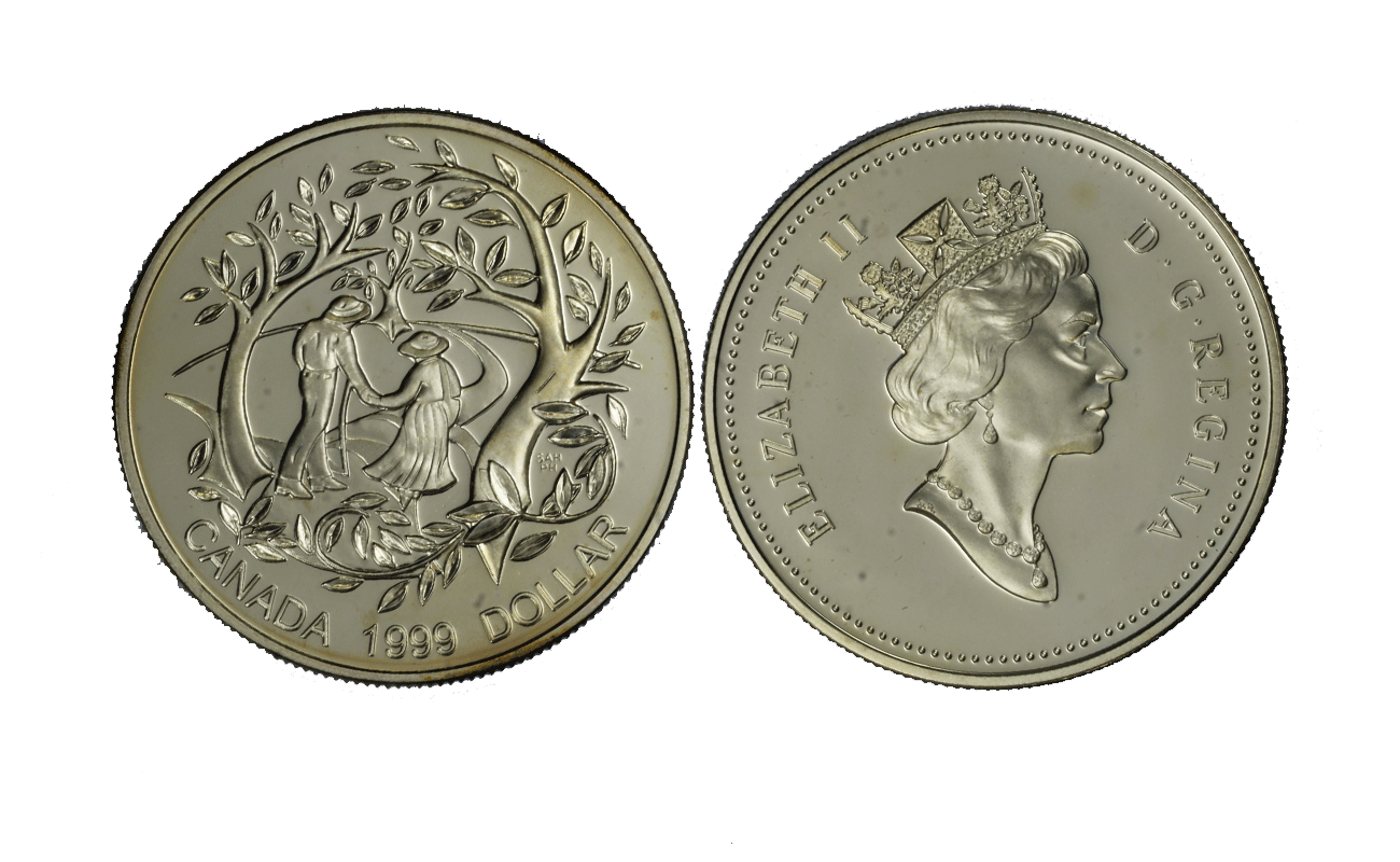 "Anno internazionale delle persone anziane" - Regina Elisabetta II - Dollaro gr. 25,18 in arg. 925/