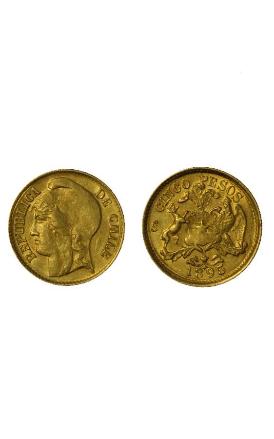 5 pesos gr. 2,99 in oro 917/