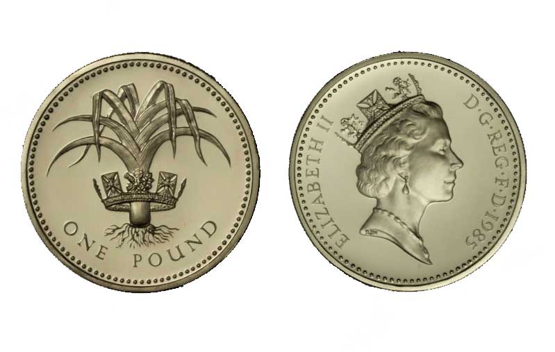 Regina Elisabetta II - 1 Pound gr. 9,50 in arg. 925/