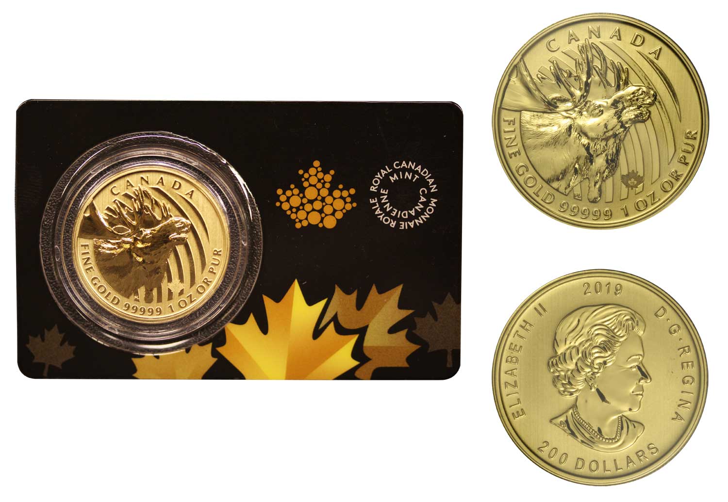 "Natura Selvaggia - Moose" 200 dollari gr. 31,103 in oro 999/000