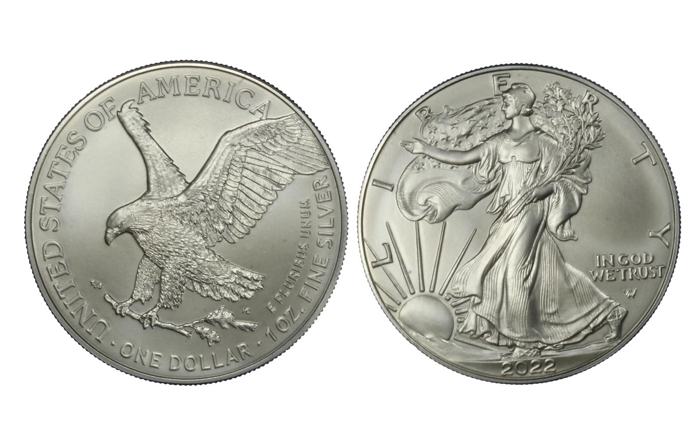 American Eagle - moneta da un dollaro gr. 31,103 (1 oz) in ag 999/000