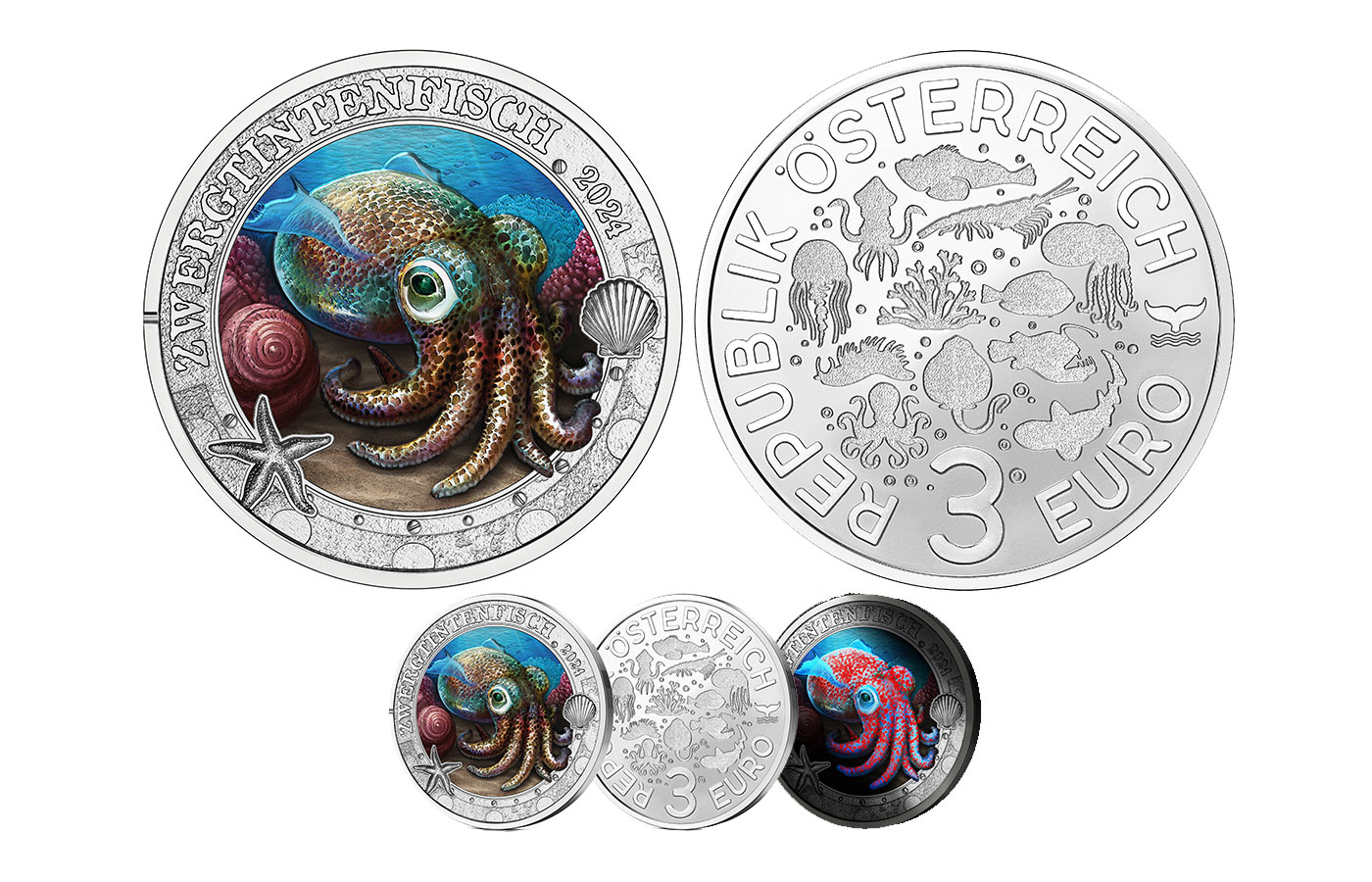 "Serie Luminous Marine Life: Hawaiian Bobtail Squid (Calamaro delle Hawaii) " - 3 Euro - Dettagli smaltati