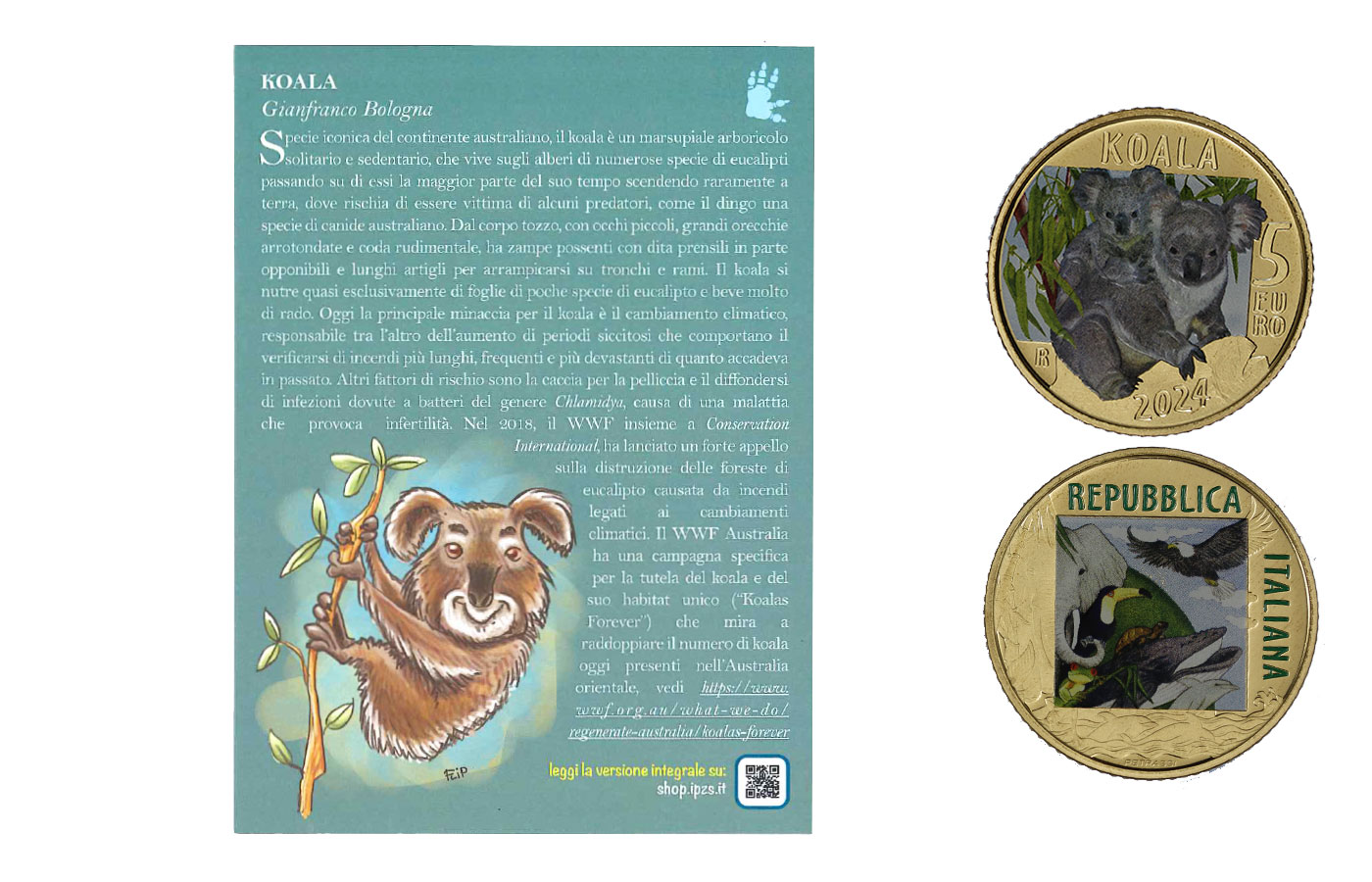 "Serie mondo sostenibile: Koala"- 5 Euro - Con certificato